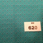BW 620
